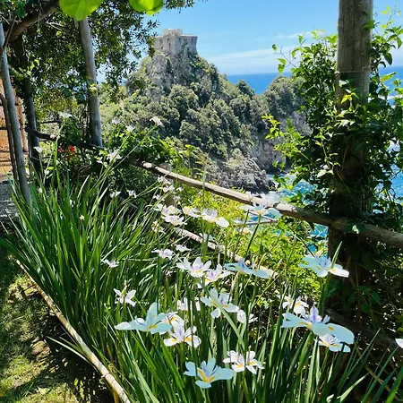 Casa Del Capitano *